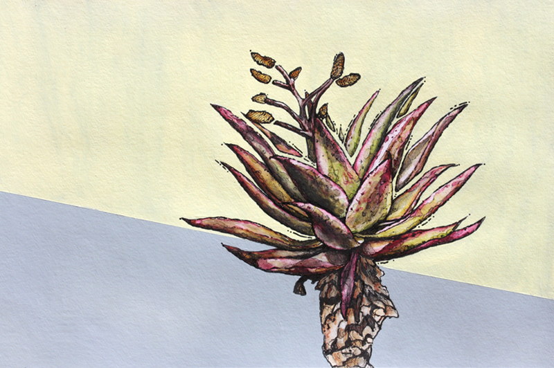 figurative representational painting by Marie-Eve Champagne at Champagne Artwork. modern expressionism, cacti and succulents, green, red, desert plants, nature and flora of Southern California