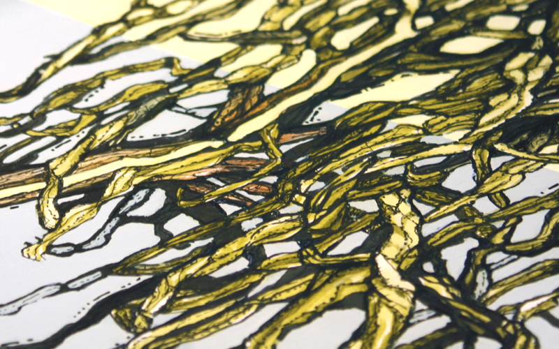 figurative representational painting by Marie-Eve Champagne at Champagne Artwork. modern expressionism, cacti and succulents, green, red, desert plants, nature and flora of Southern California