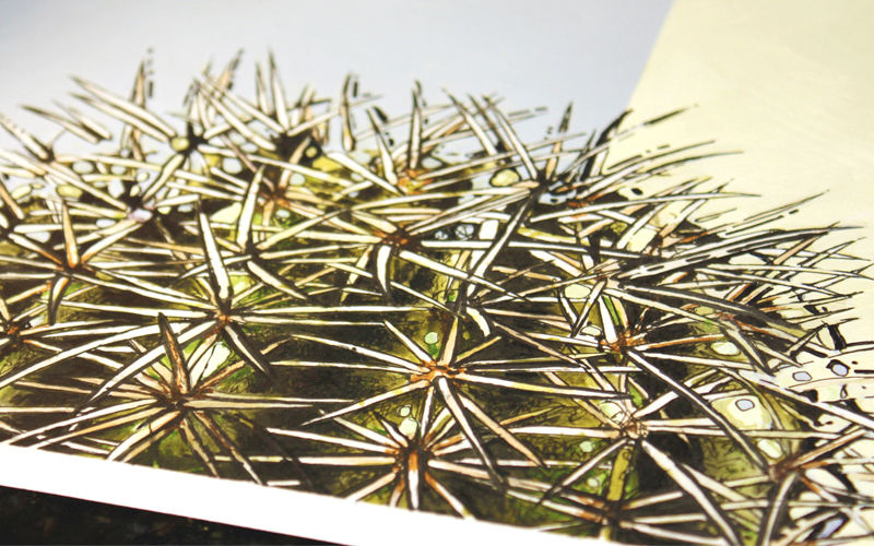 figurative representational painting by Marie-Eve Champagne at Champagne Artwork. modern expressionism, cacti and succulents, green, red, desert plants, nature and flora of Southern California