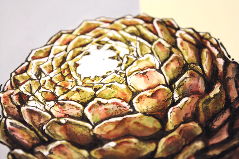 figurative representational painting by Marie-Eve Champagne at Champagne Artwork. modern expressionism, cacti and succulents, green, red, desert plants, nature and flora of Southern California