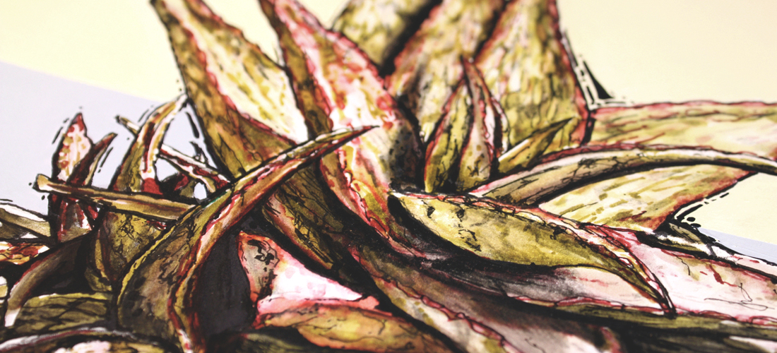 figurative representational painting by Marie-Eve Champagne at Champagne Artwork. modern expressionism, cacti and succulents, green, red, desert plants, nature and flora of Southern California