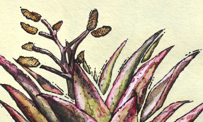 figurative representational painting by Marie-Eve Champagne at Champagne Artwork. modern expressionism, cacti and succulents, green, red, desert plants, nature and flora of Southern California